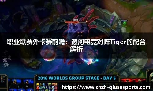 职业联赛外卡赛前瞻：漯河电竞对阵Tiger的配合解析